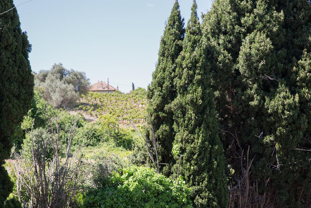 Residence La Source Toulon Luaran gambar